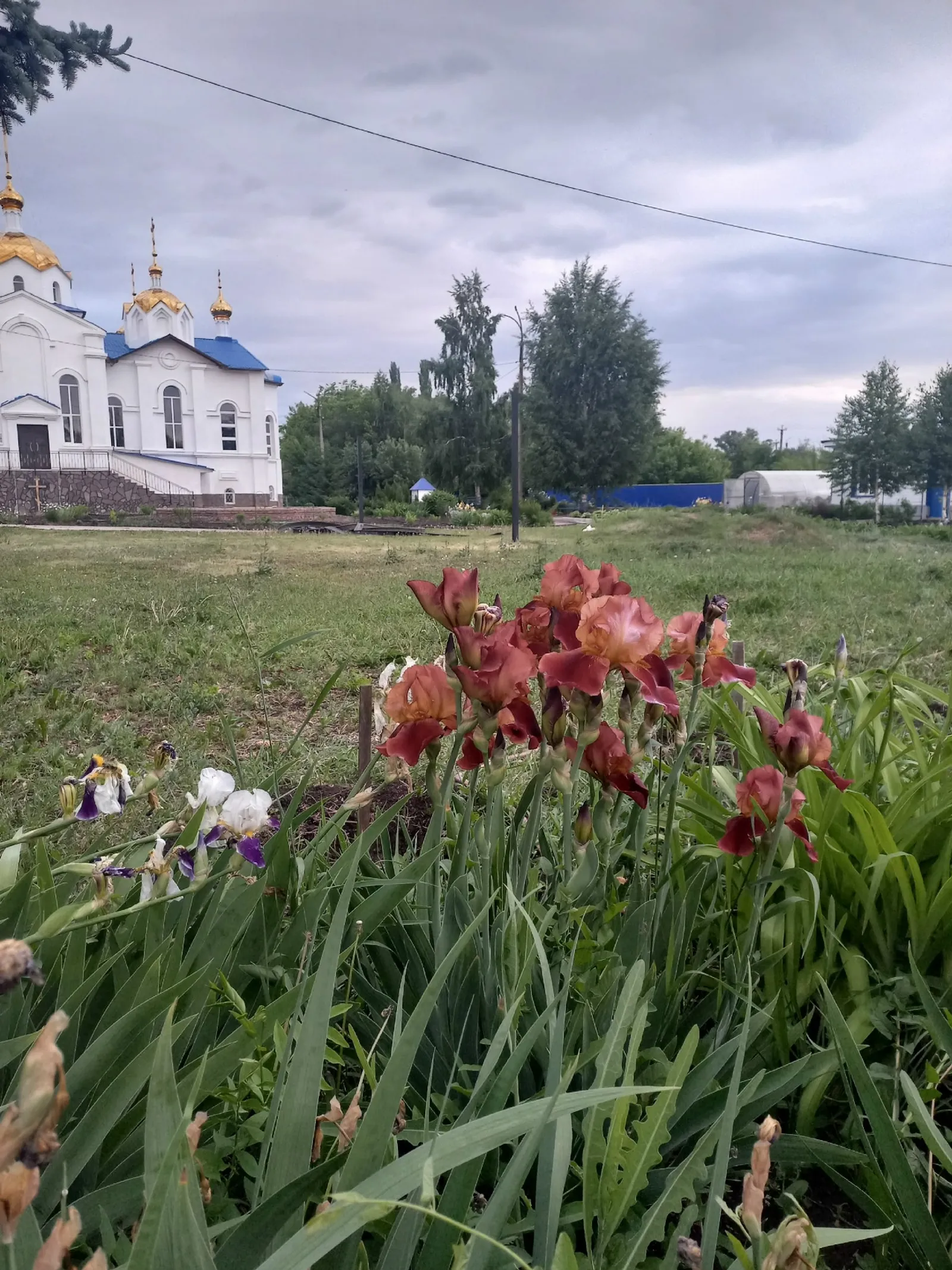 Когда в Башкирии прекратятся дожди?