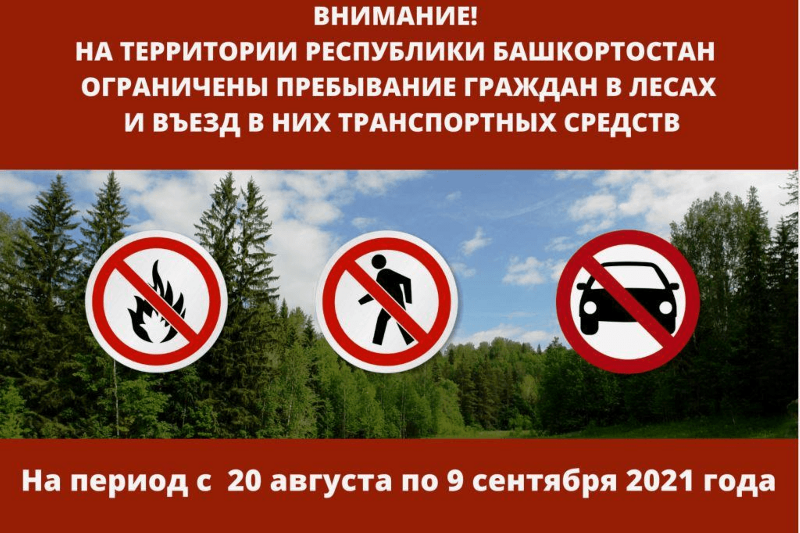 Пребывание граждан в лесах Башкортостана ограничено до 9 сентября