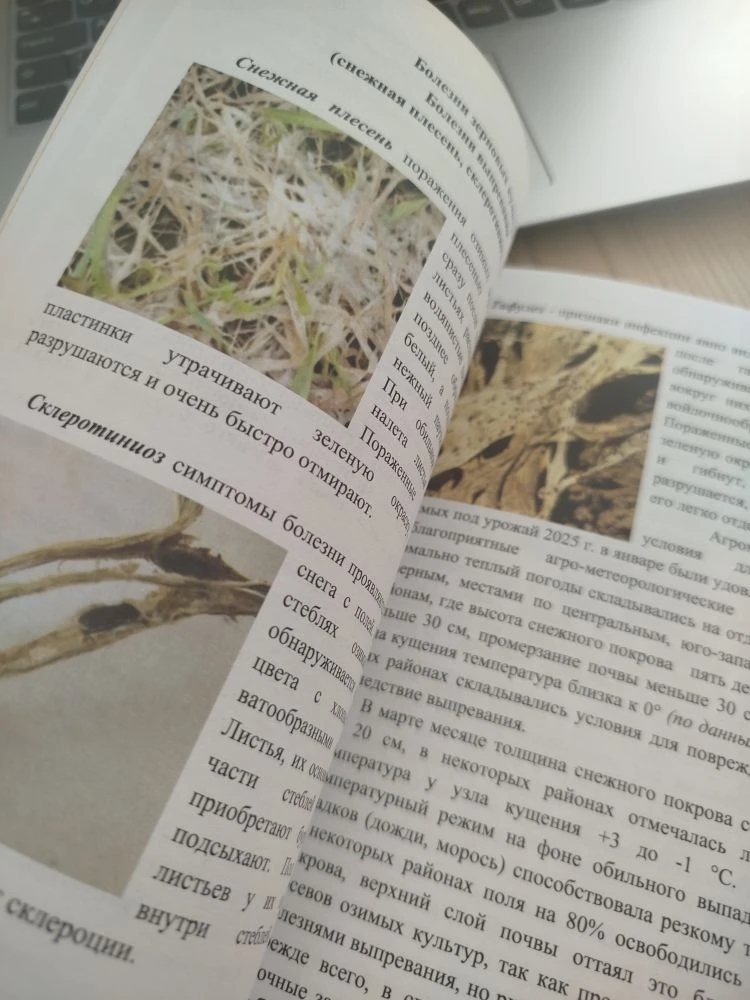 Филиал Россельхозцентра в Башкирии выпустил сборник с фитосанитарным прогнозом