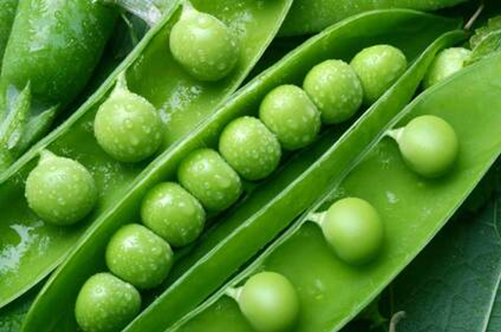 Башкирия отправила в Китай 26 вагонов гороха